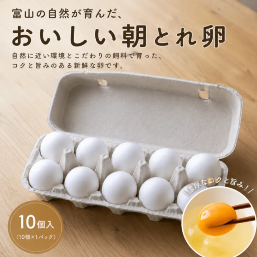 富山のおいしい朝どれ卵 10個入り（お試し）