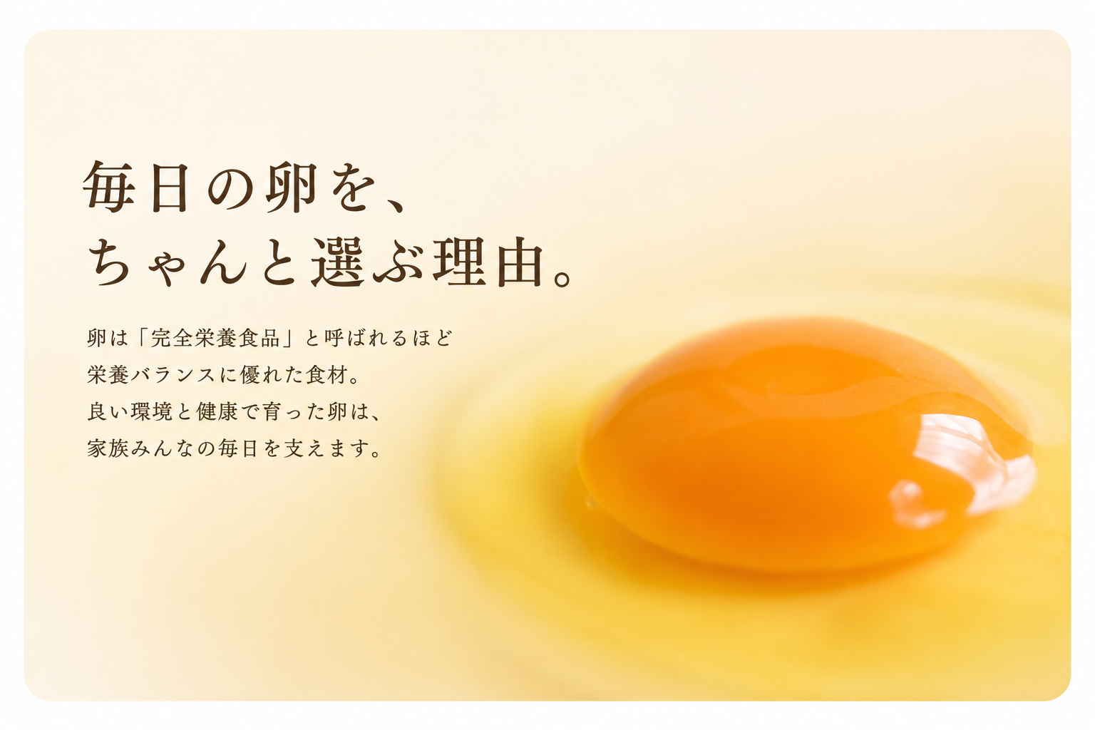 卵黄